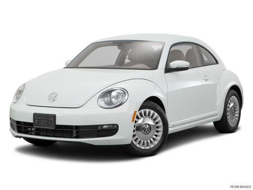 Beetle